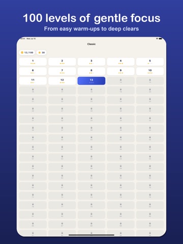 Number-Flow Puzzle iPad screenshot