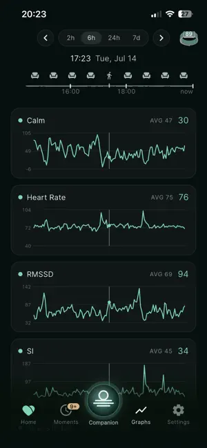 WiseHeart: AI Calm Companion screenshot 2