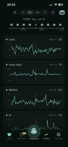 WiseHeart: AI Calm Companion screenshot