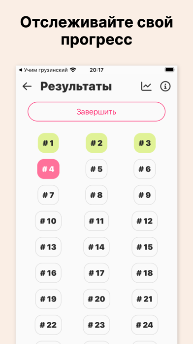 ПДД Грузия screenshot