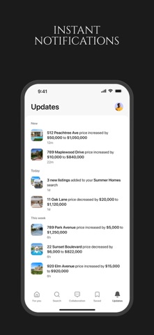 ANA VEGA Homes screenshot