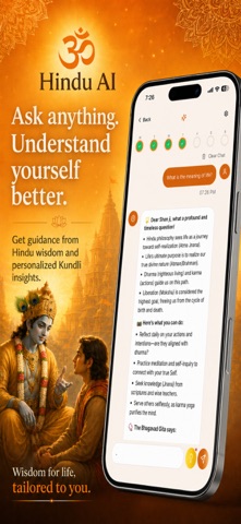 Hindu AI: Panchang, Gita, Chat screenshot