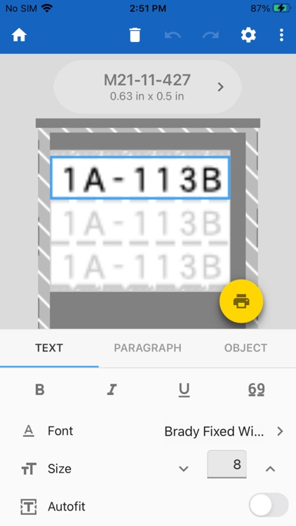 Brady Express Labels