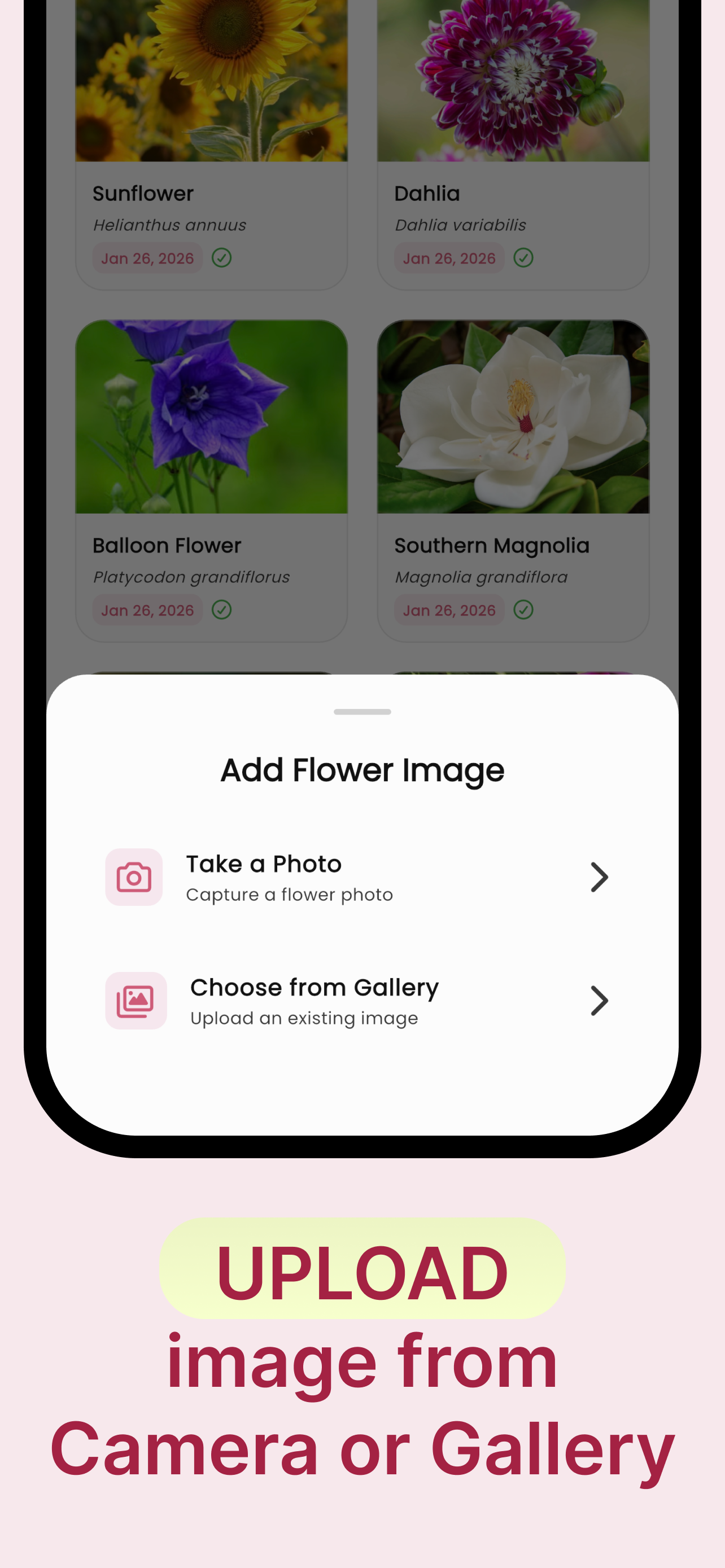 Flower Identifier: Learn, Care screenshot 6