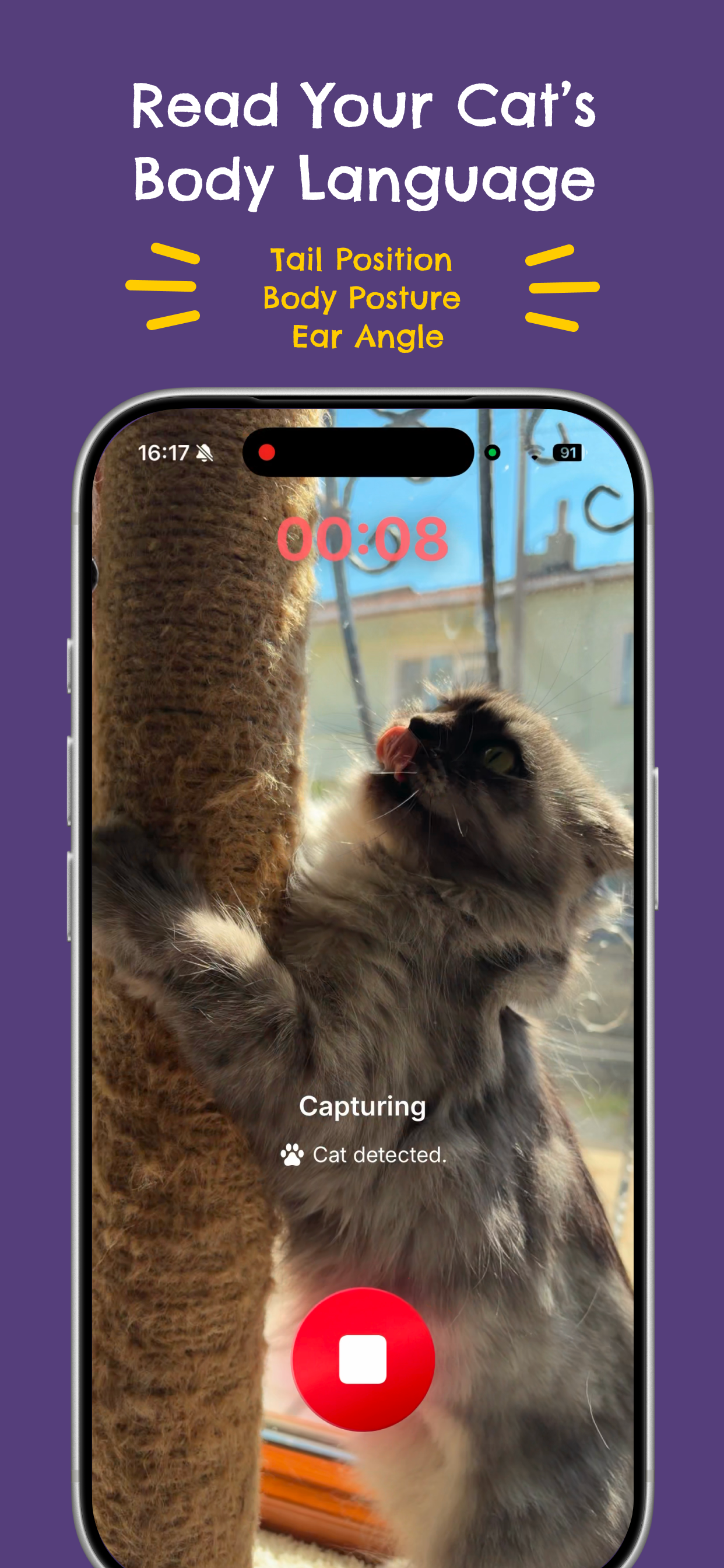 Felingo - Cat Translator screenshot 4