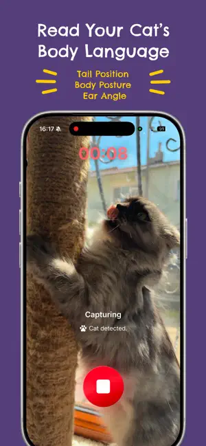 Felingo - Cat Translator screenshot 4