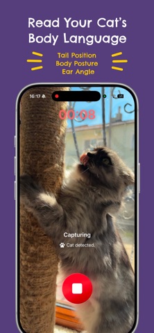 Felingo - Cat Translator Screenshot 4 of 6