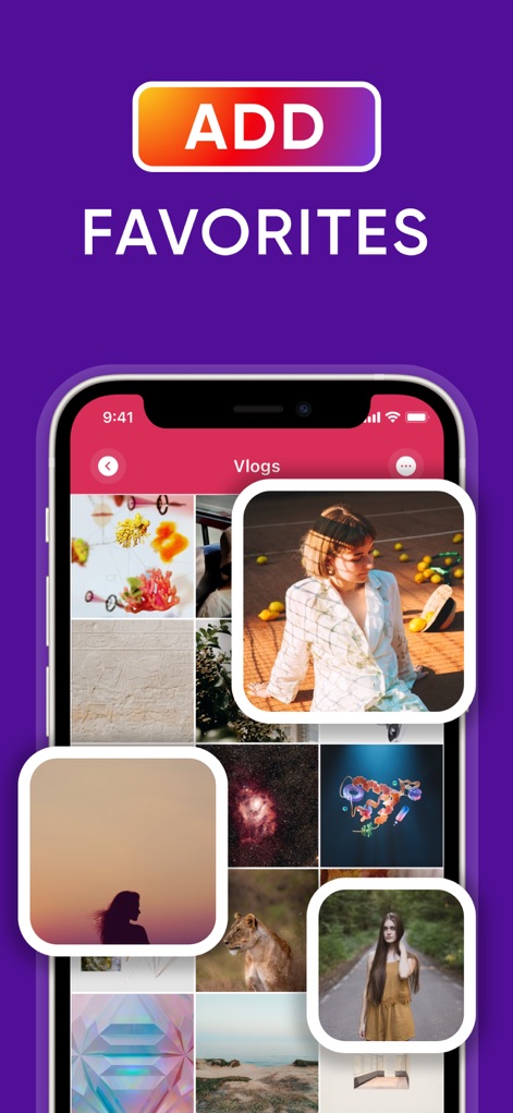 InMark: IG Reels Stories Posts - The app presents a clear grid display of individual saved images within specific categories such as the "Vlogs" collection, allowing for quick visual browsing.