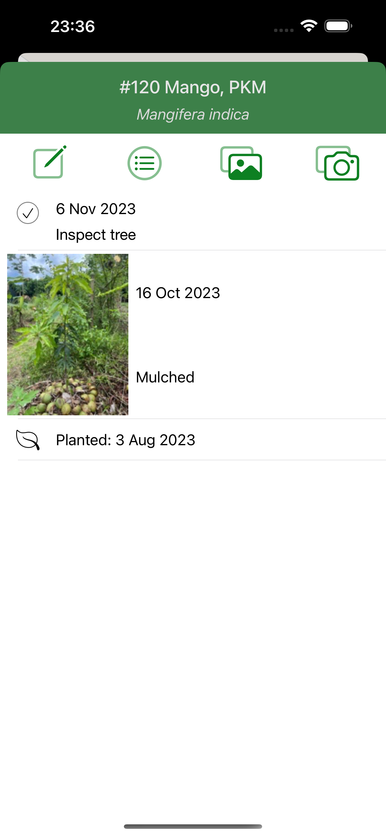 FruitForest: Orchard Mapping