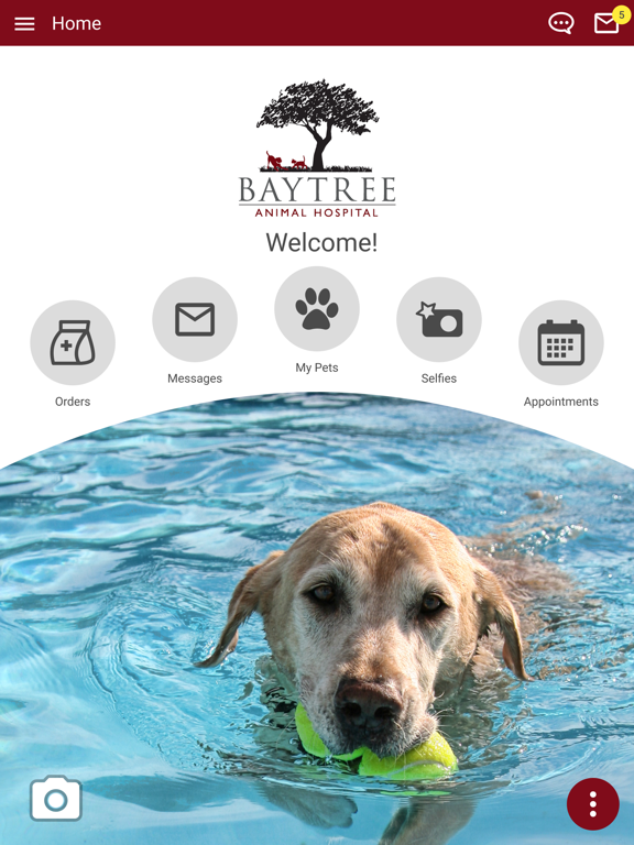 Baytree Animal Hospital iPad screenshot