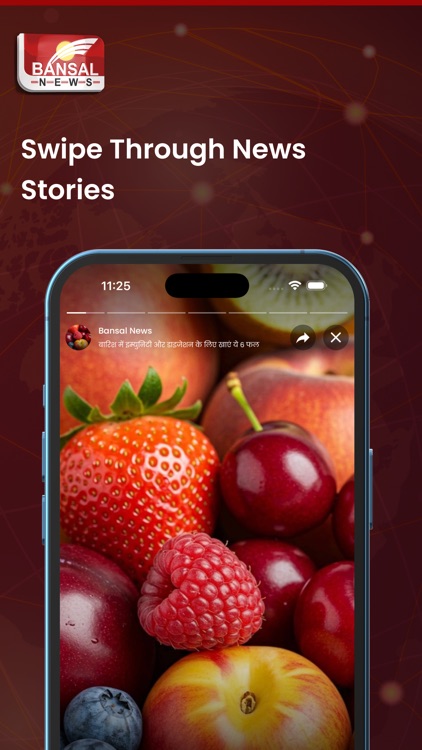 Bansal News screenshot-5