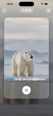 ASpeaker：200 种动物叫声大全 screenshot