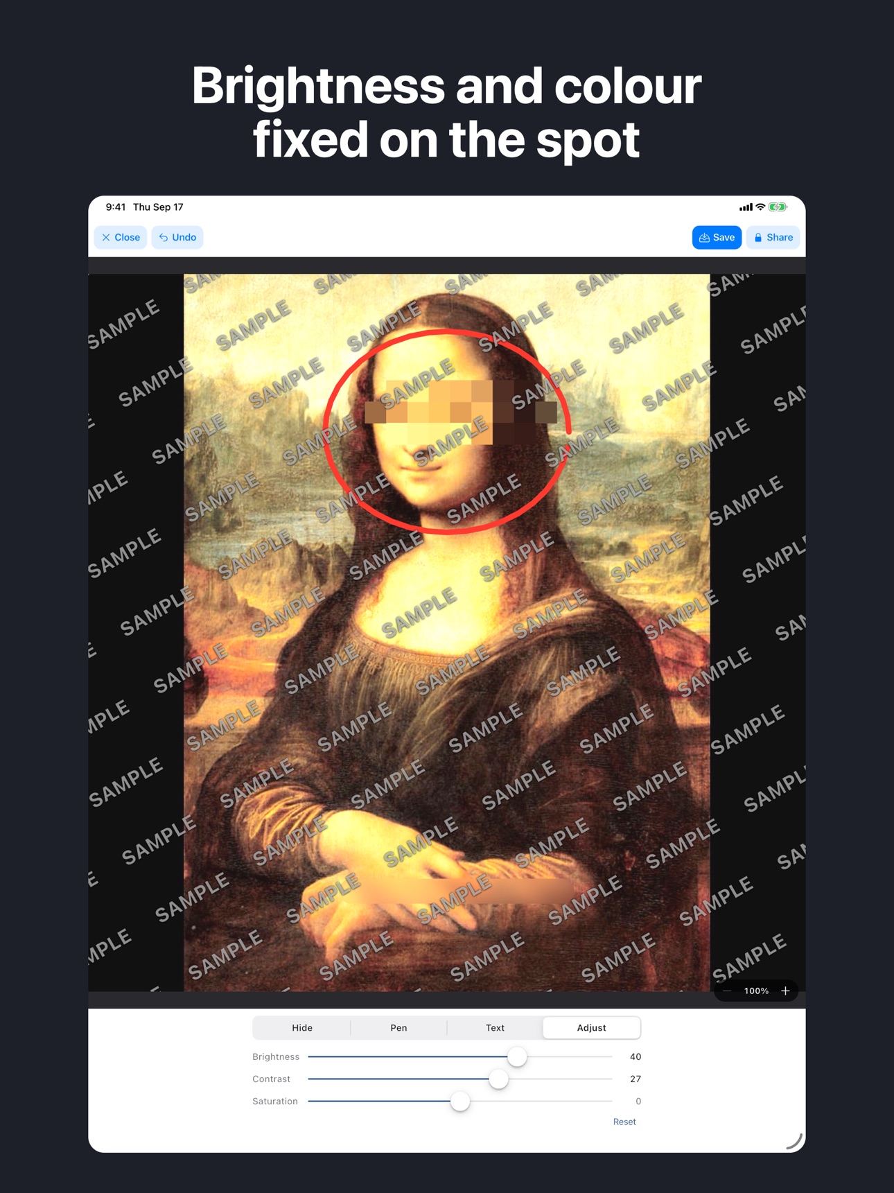 Screenshot 11 of Easy Pixelate: Hide Faces