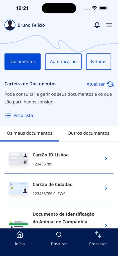 gov.pt - This section clearly lists personal identification documents like 'Cartão de Cidadão' and 'Cartão ID Lisboa', organized within the 'Carteira de Documentos' for easy management.