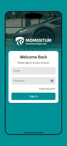 Momentum Driver screenshot