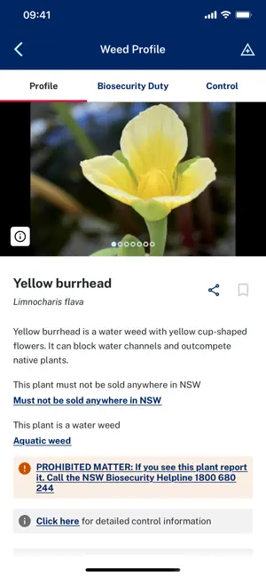 NSW WeedWise screenshot 2