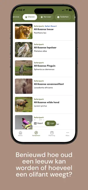 Beekse Bergen iPhone screenshot 4