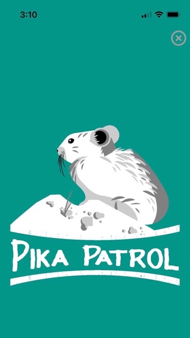 Pika Patrol Screenshot