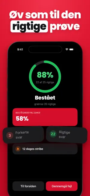 Denmark Driving Test 2027 screenshot 4