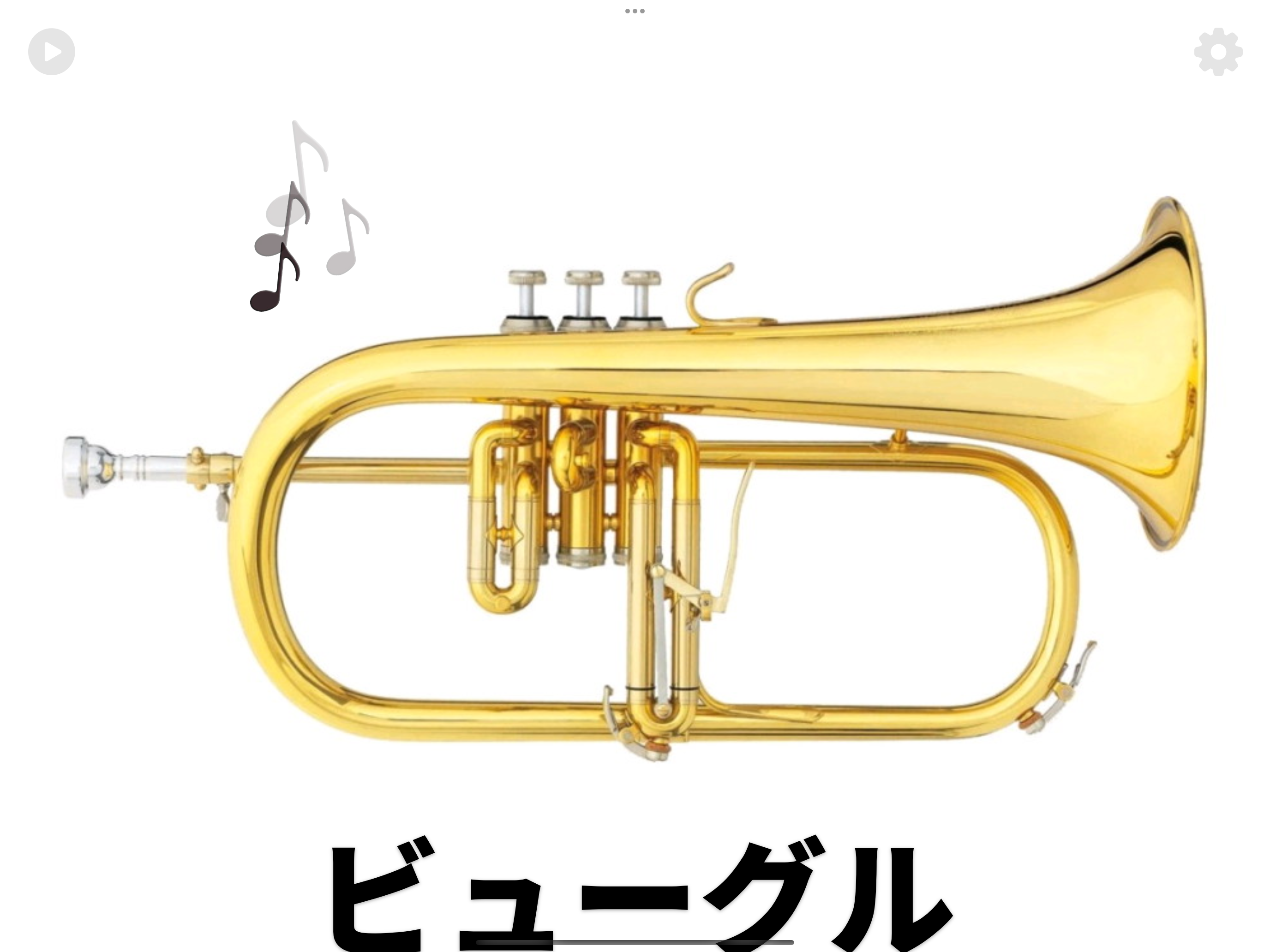 Instruments Picture Book