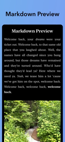 iWriter 2 iPhone screenshot