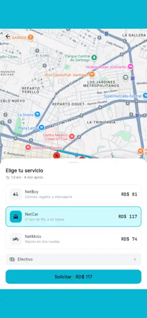 NetCar screenshot 3