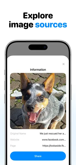 Reverse Image Search & Lens screenshot 4