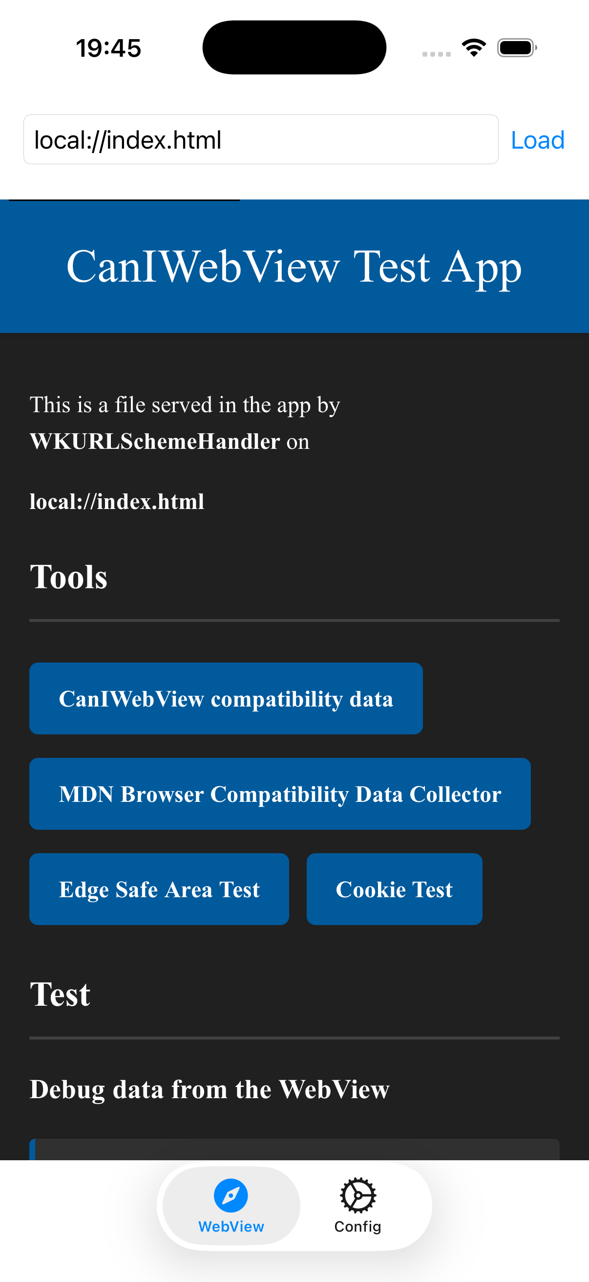 CanIWebView