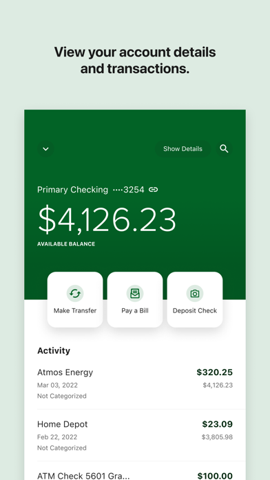 Belco Money Manager Screenshot