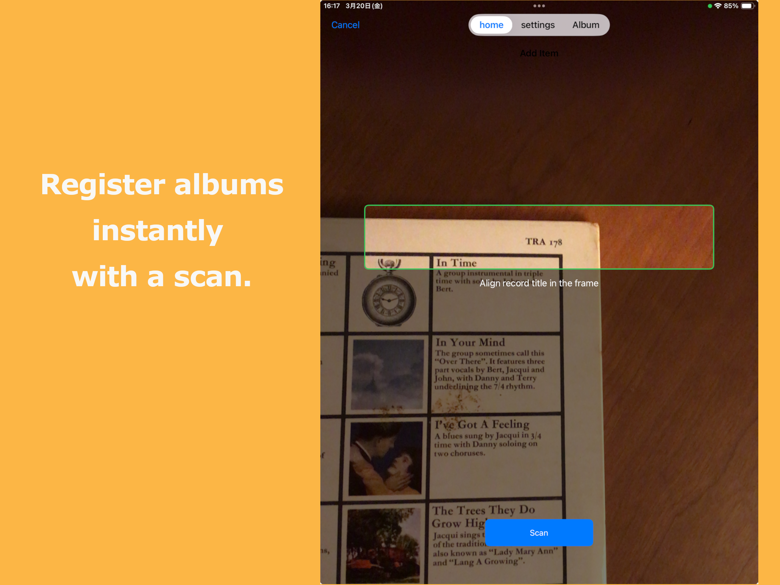 Vinyl & CD Collection Manager screenshot 7