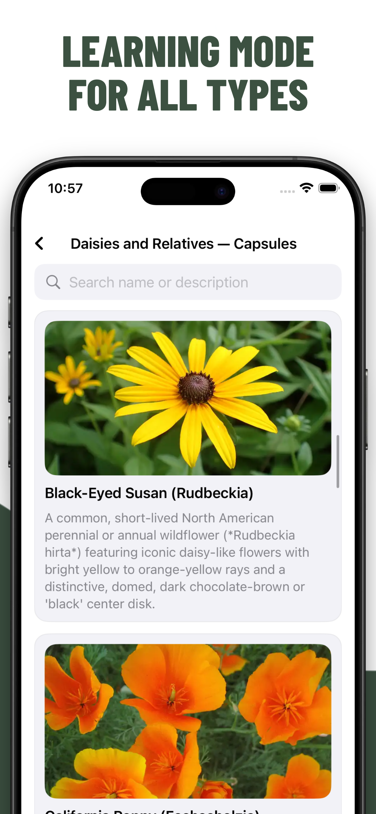 Flowers Quiz Identify Types screenshot 9