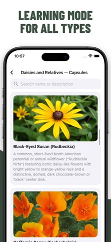 Flowers Quiz Identify Types screenshot