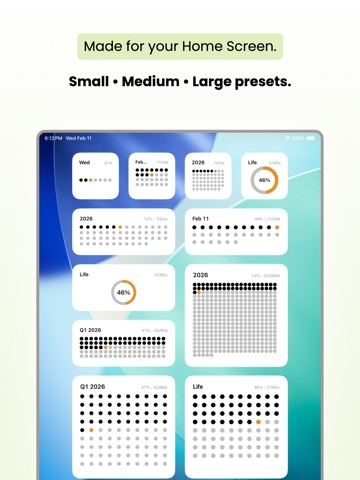 Moment Widgets: Time Progress iPad screenshot