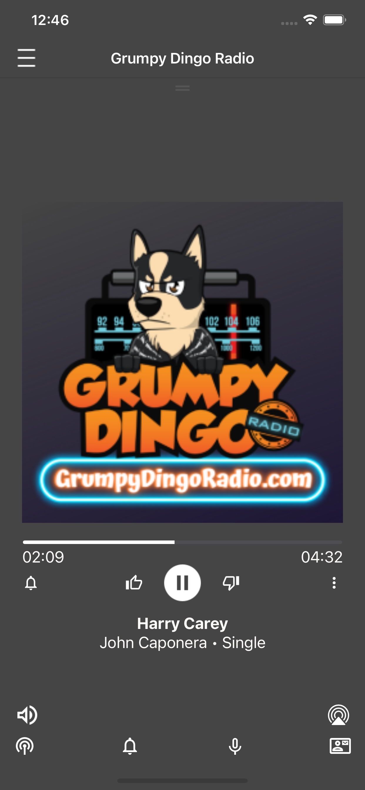 Grumpy Dingo Radio