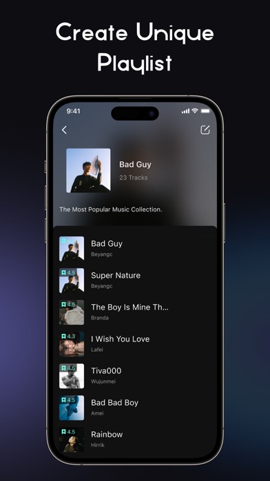 RaMusi: Offline Music Player Screenshot