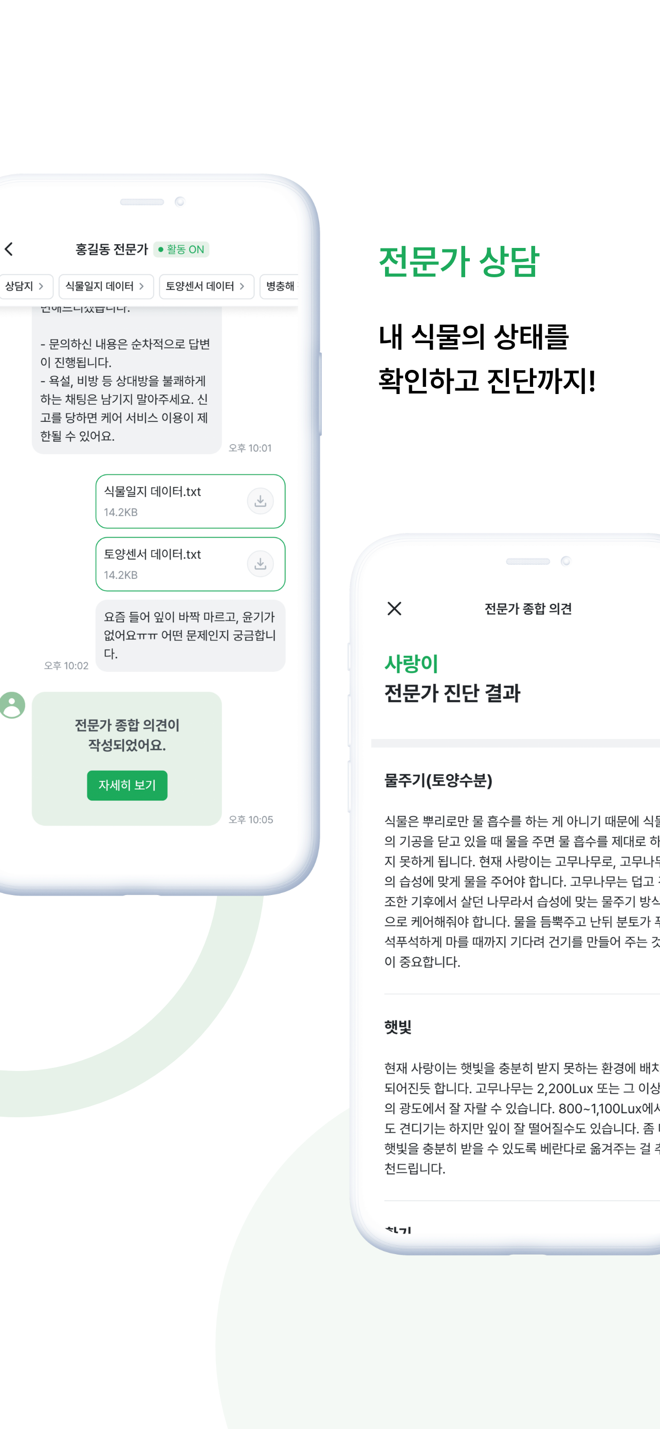식물이야기