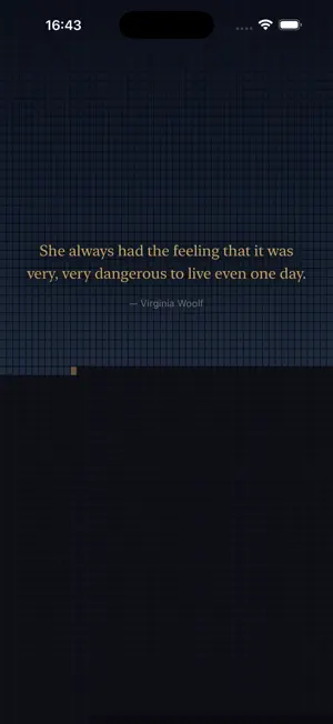 Brevitas screenshot 3