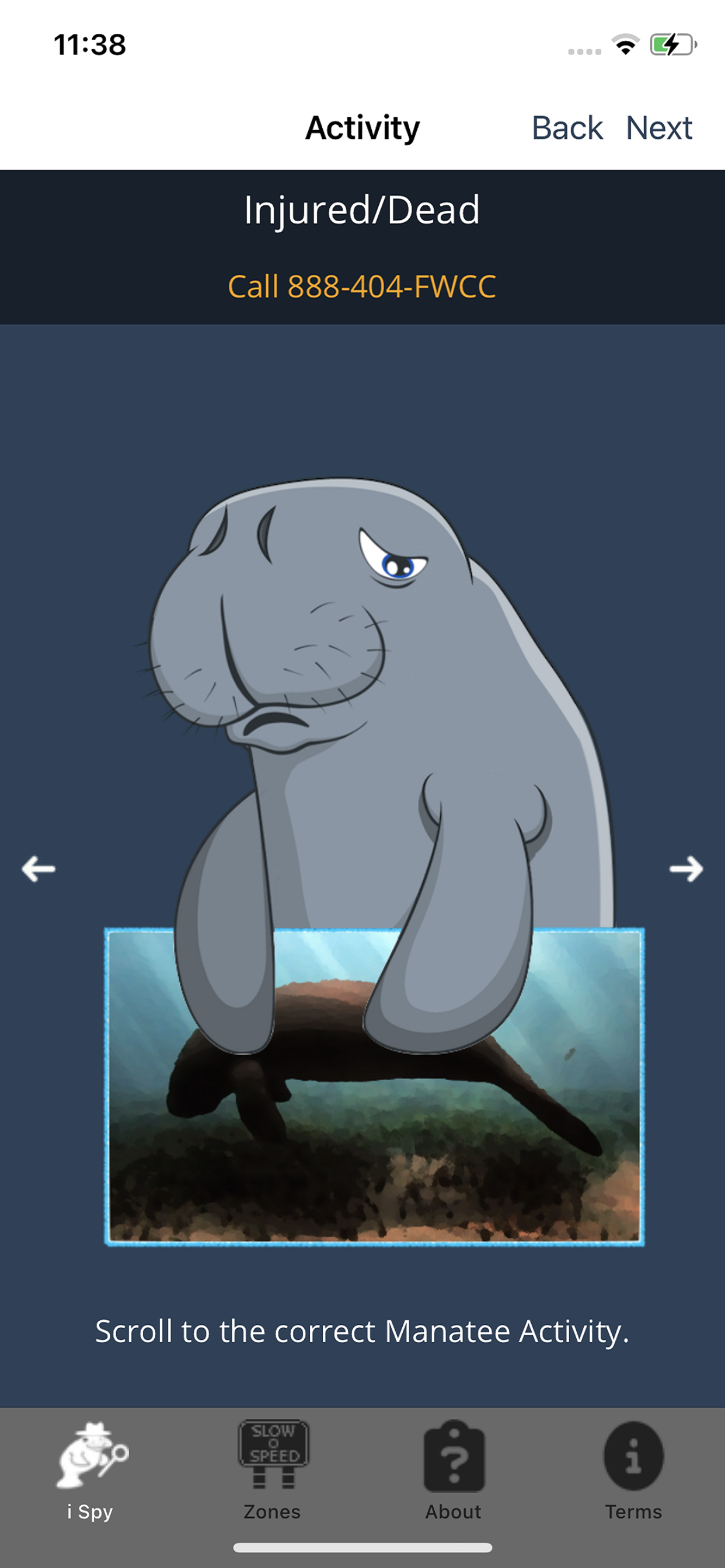 I Spy a Manatee