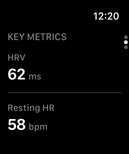 Apple Watch screenshot