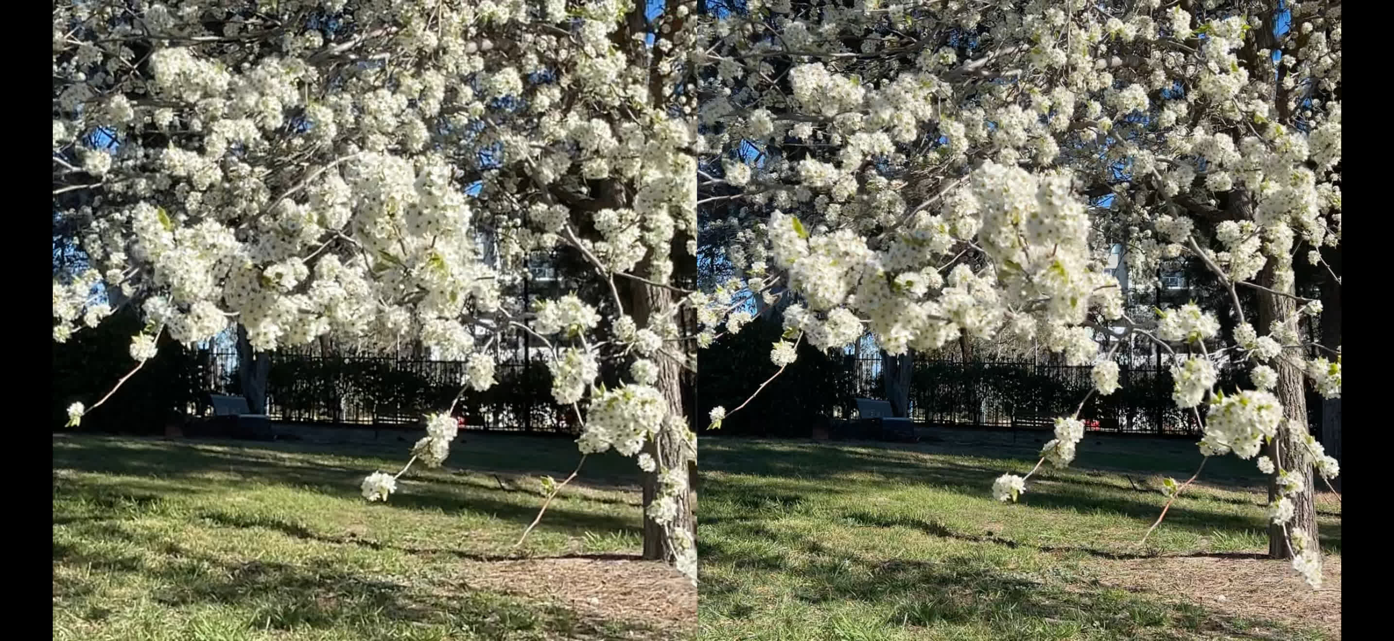 3D Cam SBS screenshot 3
