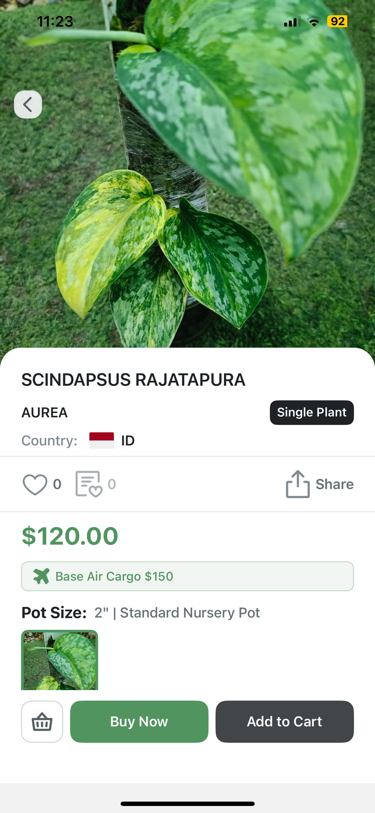 ileafU