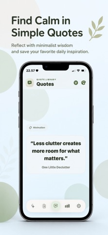 One Little Declutter: Frugal iPhone screenshot