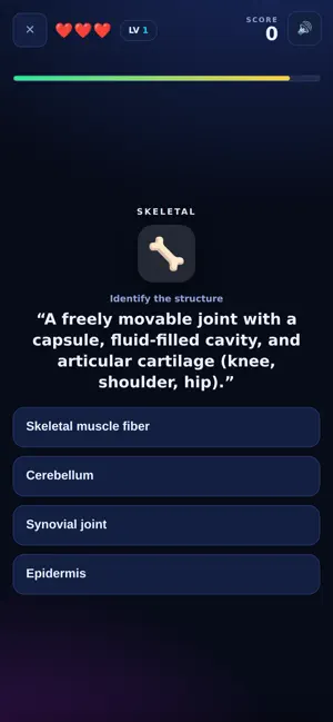 Anatomy Arena screenshot 3