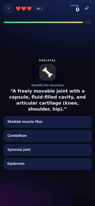 Anatomy Arena screenshot 3