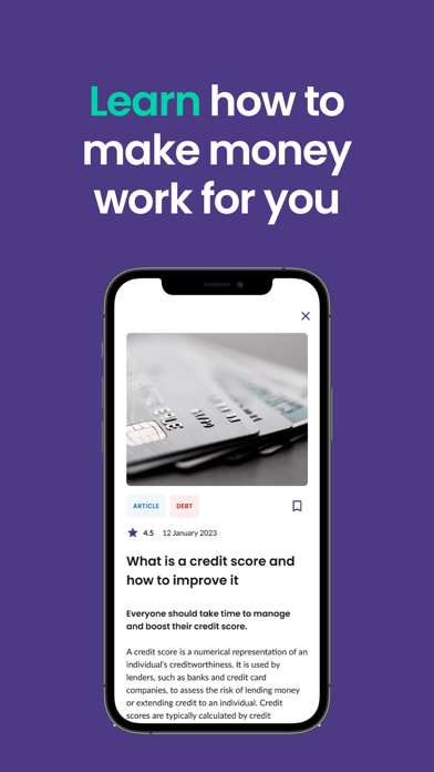 Bippit - Financial Wellbeing Screenshot