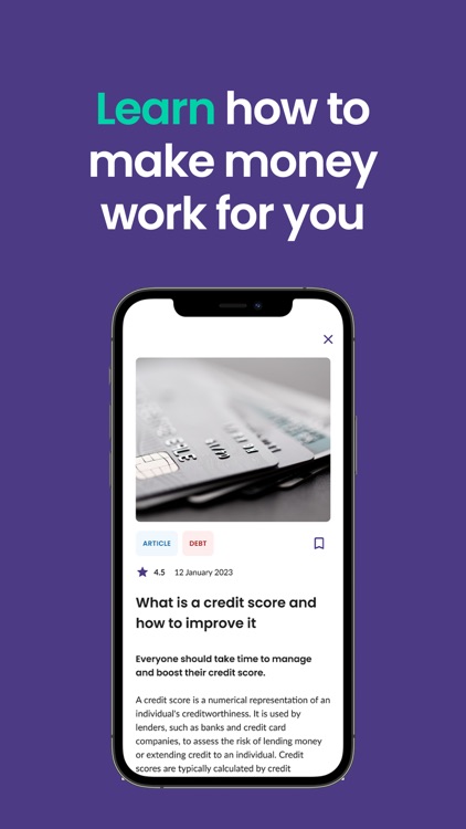 Bippit - Financial Wellbeing screenshot-6