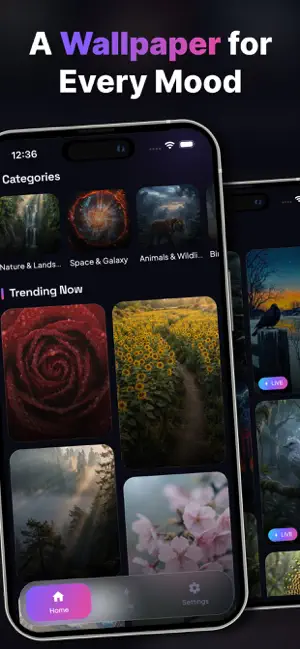 Live 4k WallPapers for iPhone screenshot 2