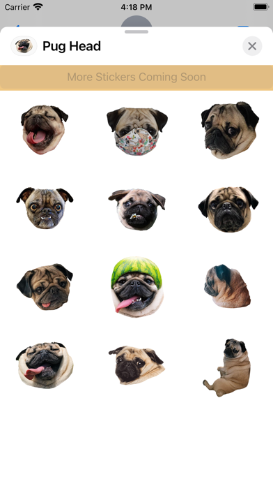 Pug Dog's Head Screenshot