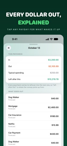 Pebble - Paycheck Budget iPhone screenshot