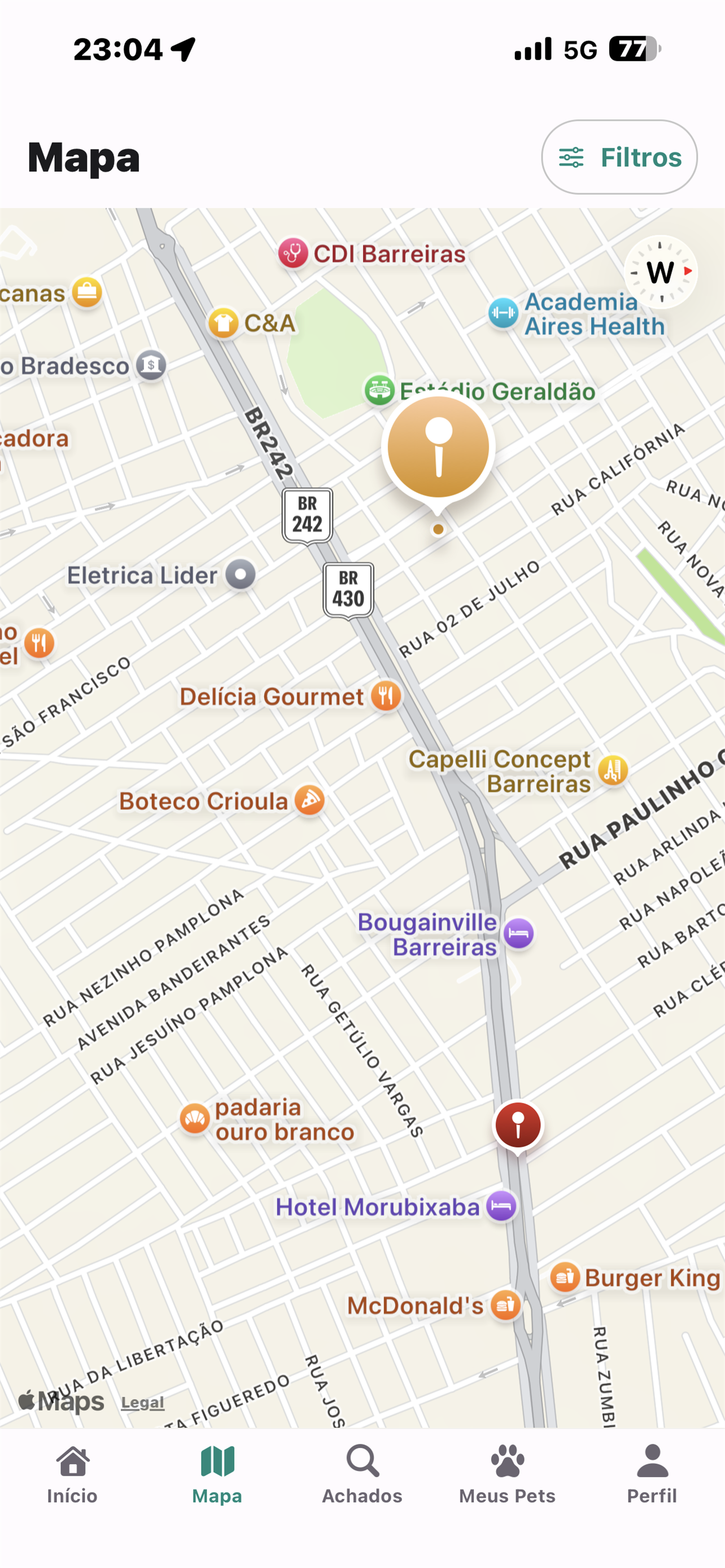 Pai de Pet screenshot 6